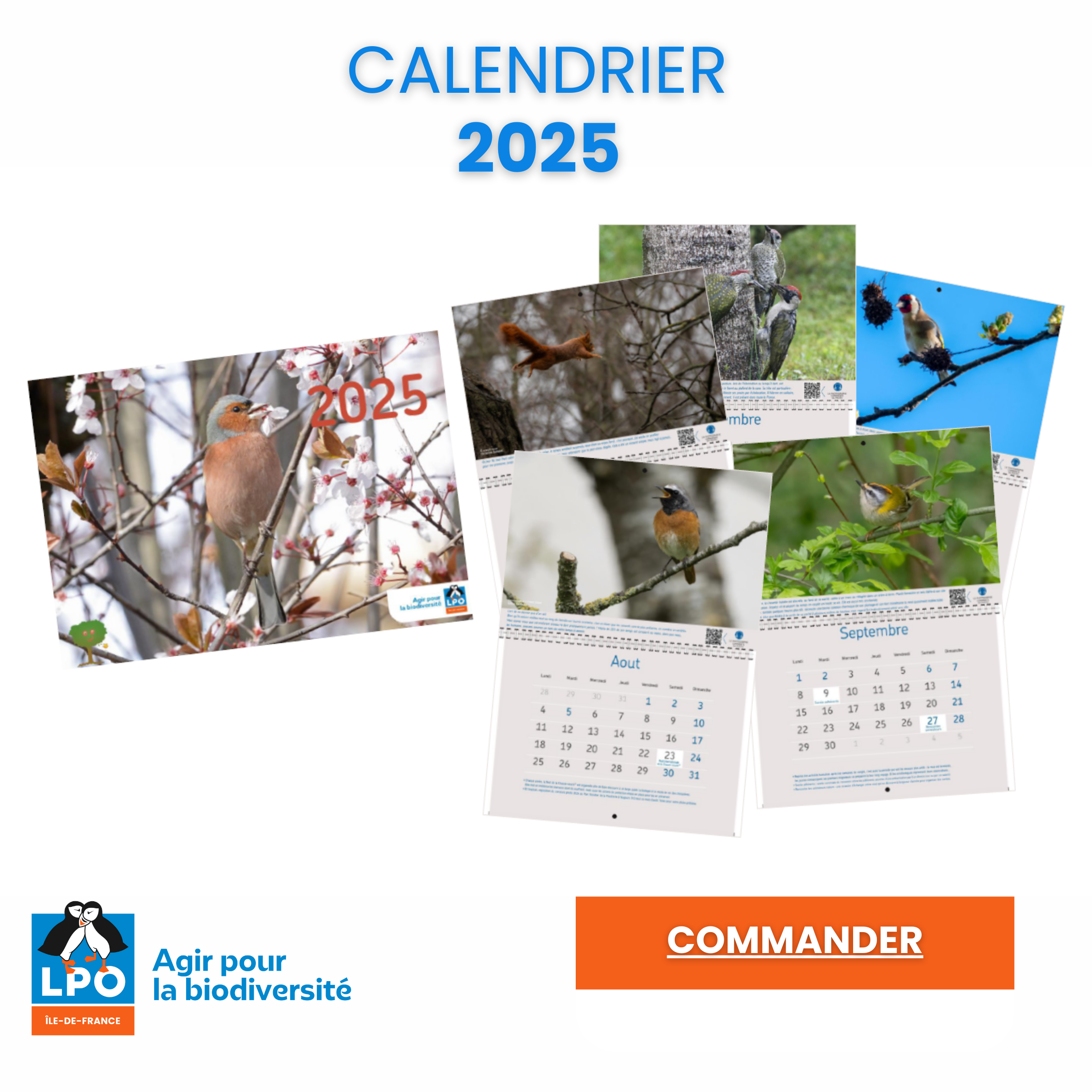 Calendrier 2025, lancement des commandes !